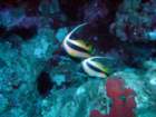 dsc06593_small.jpg
