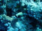 dsc06596_small.jpg