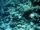 dsc06598_small.jpg