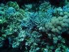 dsc06600_small.jpg