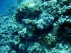 dsc06601_small.jpg