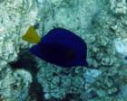 dsc06604_small.jpg