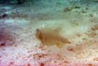dsc06610_small.jpg