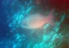 dsc06615_small.jpg