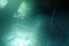 dsc06616_small.jpg