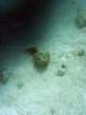 dsc06617_small.jpg