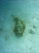 dsc06618_small.jpg