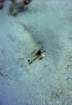 dsc06619_small.jpg