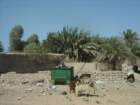 dsc06628_small.jpg