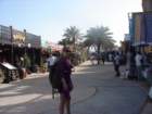 dsc06630_small.jpg