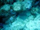 dsc06634_small.jpg