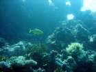 dsc06635_small.jpg