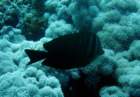 dsc06637_small.jpg