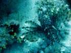 dsc06638_small.jpg