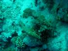 dsc06641_small.jpg