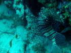dsc06642_small.jpg