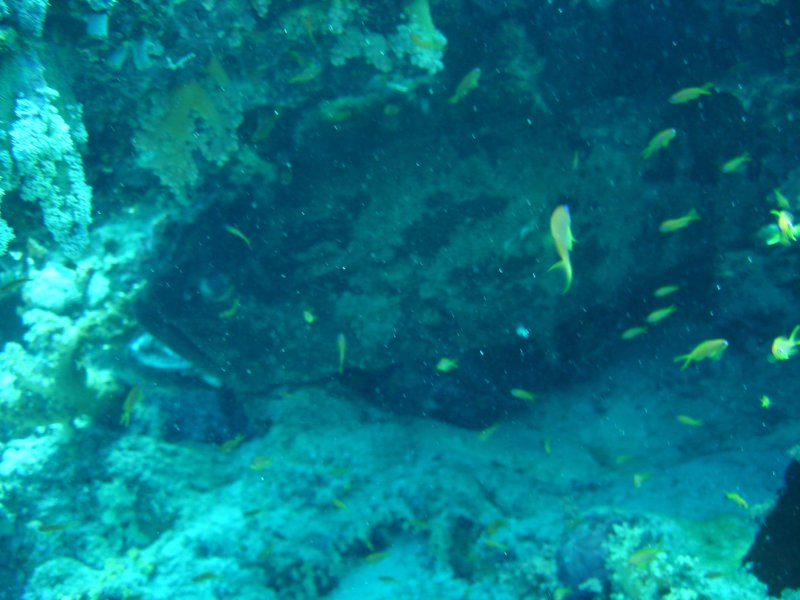 dsc06644.jpg