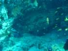 dsc06644_small.jpg