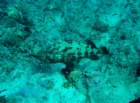 dsc06645_small.jpg