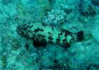 dsc06647_small.jpg