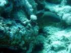 dsc06648_small.jpg