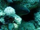 dsc06649_small.jpg