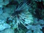 dsc06651_small.jpg
