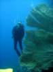 dsc06654_small.jpg