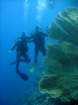 dsc06655_small.jpg