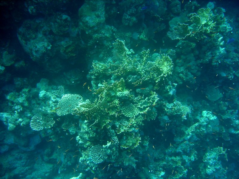 dsc06664.jpg