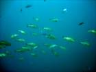 dsc06665_small.jpg