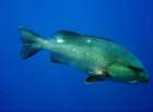 dsc06666_small.jpg