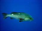 dsc06667_small.jpg