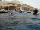 dsc06683_small.jpg