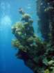 dsc06684_small.jpg