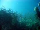 dsc06685_small.jpg
