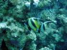 dsc06689_small.jpg