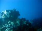 dsc06690_small.jpg