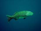 dsc06697_small.jpg