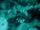 dsc06699_small.jpg