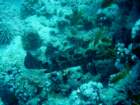 dsc06701_small.jpg