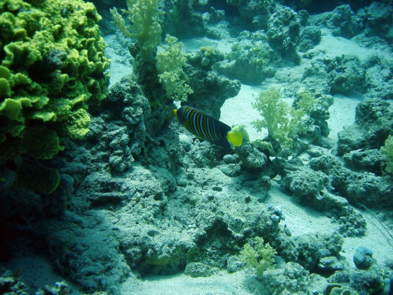 dsc06706.jpg