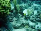 dsc06706_small.jpg
