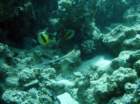 dsc06707_small.jpg