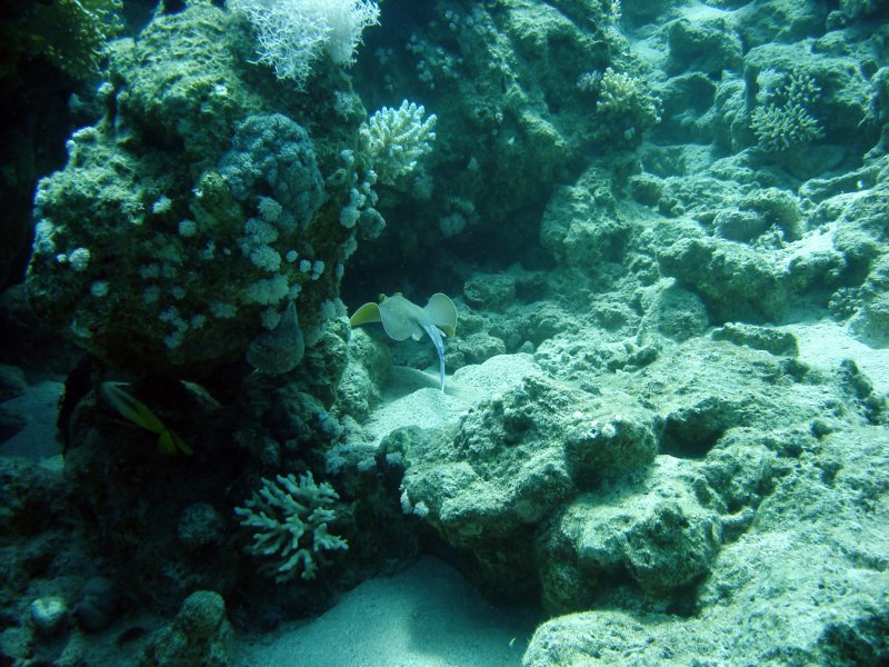 dsc06708.jpg