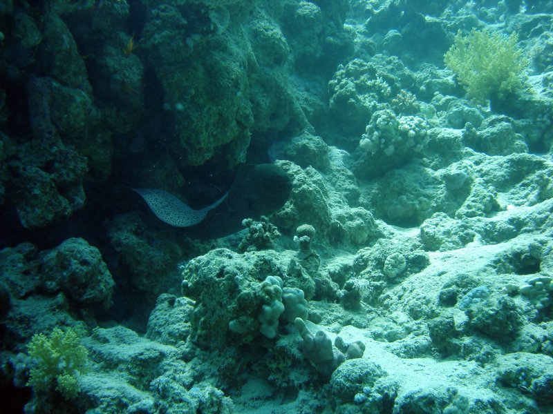 dsc06710.jpg
