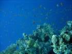 dsc06717_small.jpg