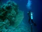 dsc06726_small.jpg