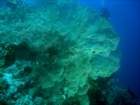 dsc06727_small.jpg