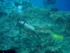 dsc06728_small.jpg
